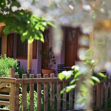 Raset Rustic Отель типа 
